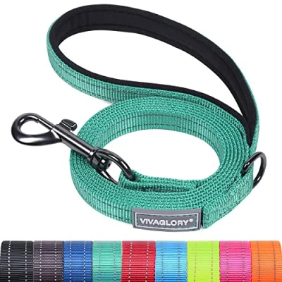 Afbeelding van VIVAGLORY Hondenriem, Trainingsriem met Comfortabele Neopreen Gewatteerde Handgreep, Stevige Looplijn voor Kleine en Middelgrote Honden