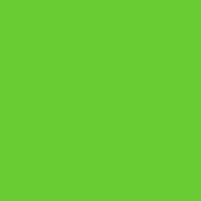 Afbeelding van plottiX Perm. Vinylfolie 31,5cm x 1m lichtgroen