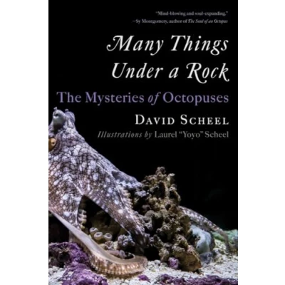 Afbeelding van Many Things Under a Rock: The Mysteries of Octopuses