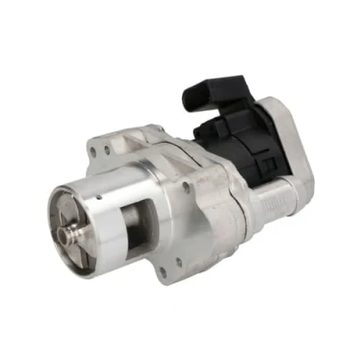 Afbeelding van EGR klep DELPHI EG10455