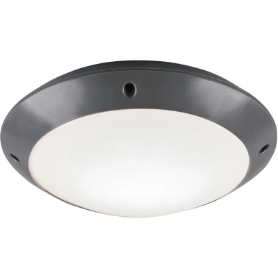 Afbeelding van REALITY CAMARO Plafondlamp Antraciet excl. 1x E27 4,9W Buitenverlichting IP54