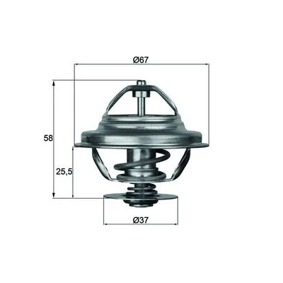 Afbeelding van Mahle Original Thermostaat TX 21 80D