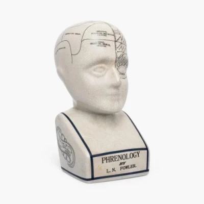 Afbeelding van ACL Phrenology Head Keramische Ornament Collectable Retro Bust Glaze afwerking Doktersbureau LN Fowler Waarzeggersbeeld Hersenzintuigen 28CMs Wit