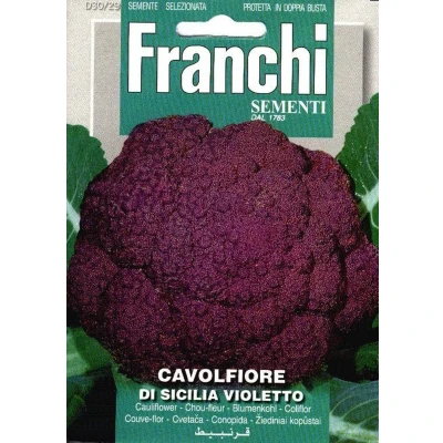 Afbeelding van Bloemkool, Cavolfiore Sicilia Violetto