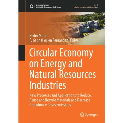 Afbeelding van Circular Economy on Energy and Natural Resources Industries: New Processes Applications to Reduce, Reuse Recycle Materials Decrease Greenhouse Gases Emissions