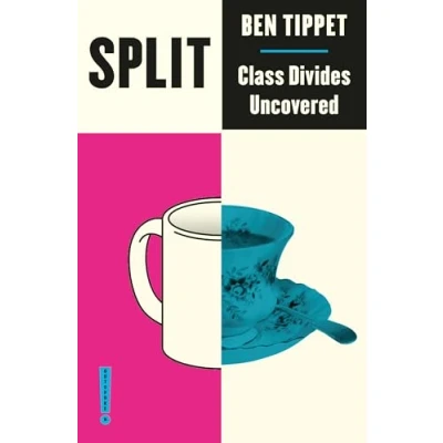 Afbeelding van Split Class Divides Uncovered Outspoken by Pluto