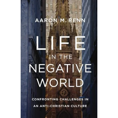 Afbeelding van Life in the Negative World: Confronting Challenges an Anti Christian Culture