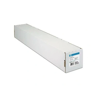 Afbeelding van HP Q8751A Groot formaat