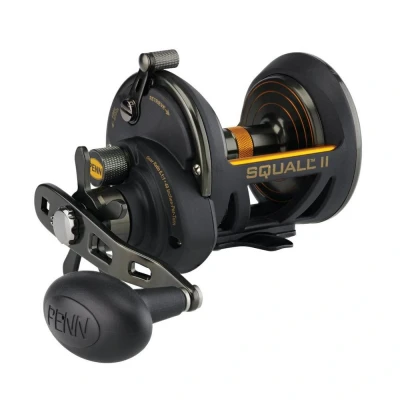 Afbeelding van Penn Squall® II Star Drag Zeevis Reel RH 25N SD