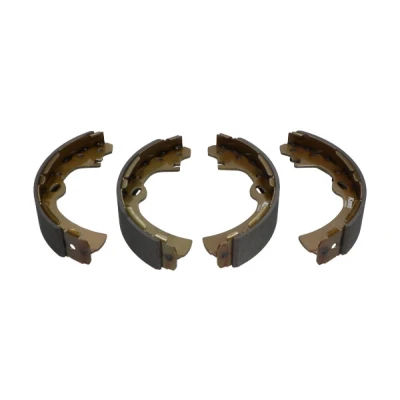 Afbeelding van Kavo Parts Remschoen set KBS 7430