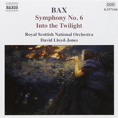 Afbeelding van Royal Scottish National Orchestra, David Lloyd Jones Bax: Symphony No. 6 Into The Twilight (CD)