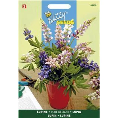 Afbeelding van Lupinus, Lupine Pixie Delight gemengd