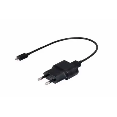 Afbeelding van Sigma USB lader + Micro kabel voor ROX 7.0/10.0/11.0/12.0/Pure GPS