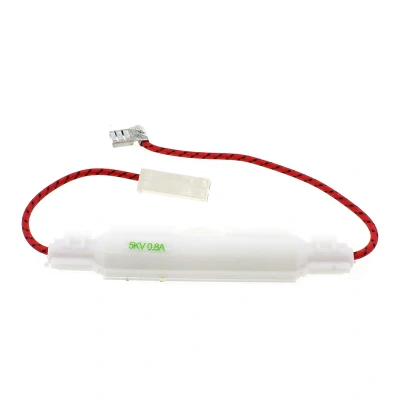 Afbeelding van Whirlpool Indesit 482000097127 zekering magnetron C00514163 fuse h v