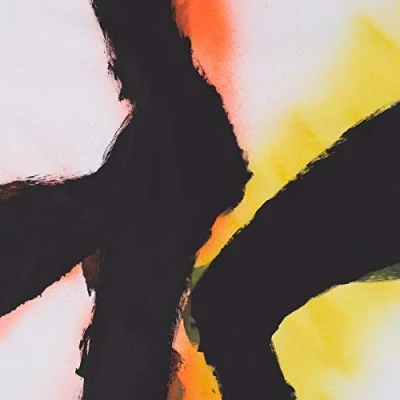 Afbeelding van Rob Mazurek &amp; Emmett Kel Alien Flower Sutra