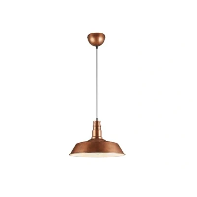 Afbeelding van REALITY WILL Hanglamp Koper antiek excl. 1x E27 60W