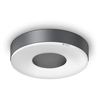 Afbeelding van Steinel plafond wandarmatuur rc 200 le 263mm 078775