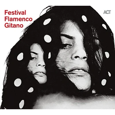 Afbeelding van Festival Flamenco Gitano