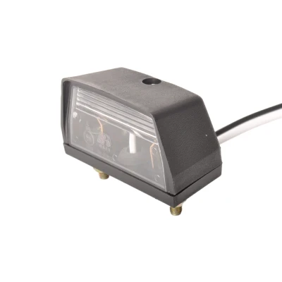 Afbeelding van Aanhangwagendirect Kentekenverlichting inclusief 25 cm losse draad