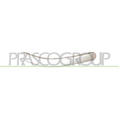 Afbeelding van Sier / beschermingspaneel, bumper PRASCO VG0341264