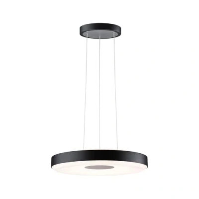 Afbeelding van Paulmann Pane II 79517 LED hanglamp 22 W Zwart, Grijs