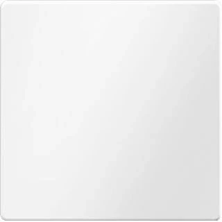 Afbeelding van Berker Q.1/Q.3 drukknop impulsdimmer 1 voudig wit fluweel