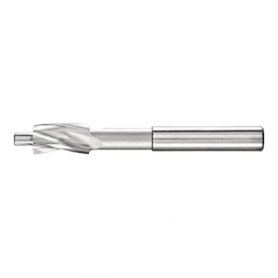 Afbeelding van PFERD FLS HSS DIN 373 10,0 GKL 25203116 Platte boor 10 mm 1 stuk(s)
