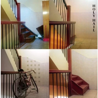 Afbeelding van Holy Hail The Dying (After) Party (LP)