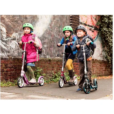 Afbeelding van HUDORA BigWheel 205 (Zwart/rood)