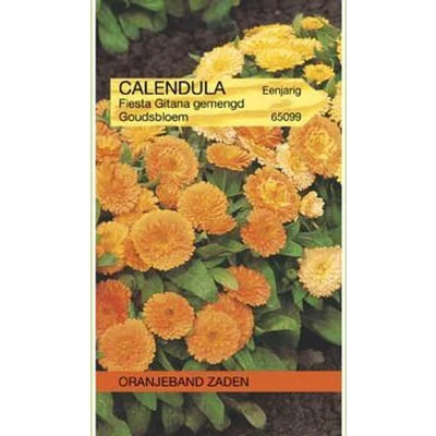 Afbeelding van Calendula, Goudsbloem Fiesta Gitana