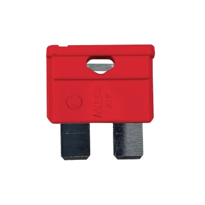 Afbeelding van MTA steekzekeringen 10A Rood (10 stuks)