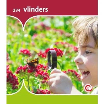 Afbeelding van vlinders