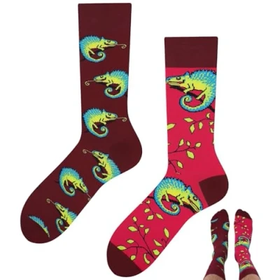 Afbeelding van TODO Colours Grappige sokken met motief meerkleurig, kleurrijk, gek voor levensvreugde, kameleon, 39 42 EU