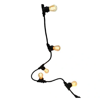 Afbeelding van Lumisky koppelbaar lichtsnoer linky me met 10 filament led lampen