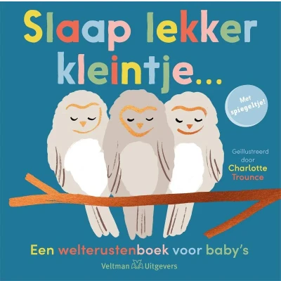 Afbeelding van Veltman uitgevers kartonboek slaap lekker kleintje...