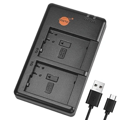 Afbeelding van DSTE DE A80, A80AA/SX USB batterij Dual Quick Charger compatibel met DMW BLC12, BLC12e, BP DC12, DC12U, Panasonic Lumix DMC G7, GH2, FZ330, FZ200, FZ1000, V LUX! 4 Leica Q