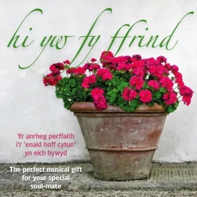 Afbeelding van Various Artists Hi Yw Fy Ffrind (CD)