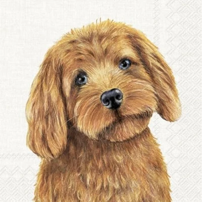 Afbeelding van Ihr 10475 Lunchservietten 33x33cm 20 stuks Farm Dog cream
