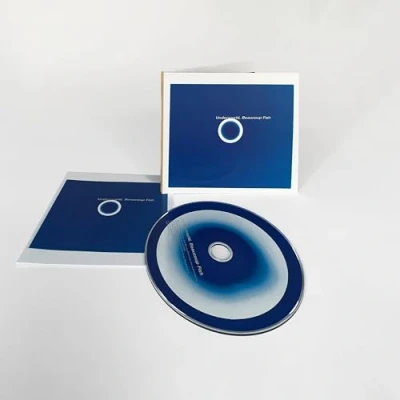 Afbeelding van Underworld Beaucoup Fish (CD)