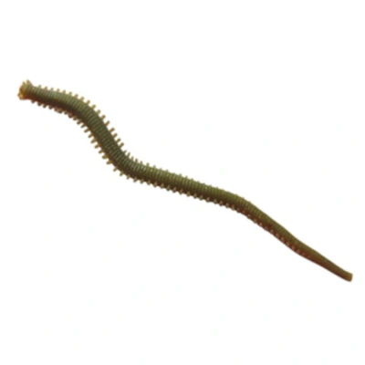 Afbeelding van Berkley Gulp! Alive Saltwater Sandworm Camo 15cm (28 stuks) Imitatie aas