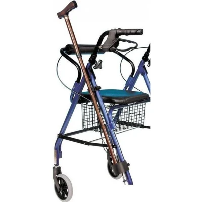 Afbeelding van Stokhouder rollator
