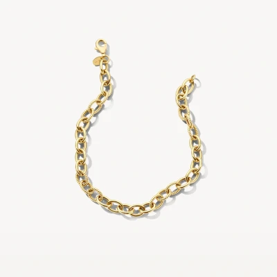 Afbeelding van Blush Armband 2255YGO 14k Geelgoud Schakelarmbanden 14 Karaat goud