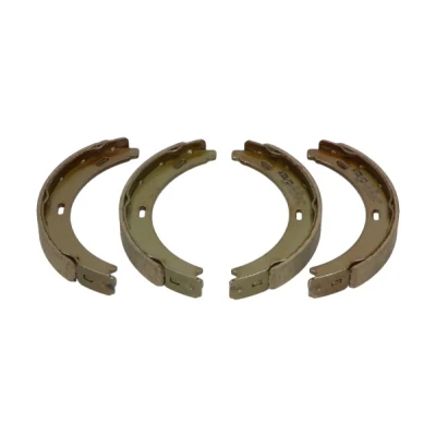 Afbeelding van Kavo Parts Remschoen set KBS 10006