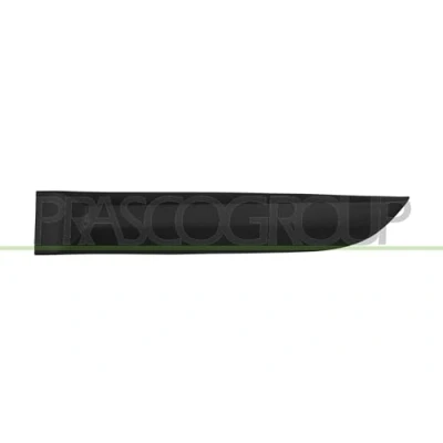 Afbeelding van Sier / beschermingspaneel, deur PRASCO RN4241454