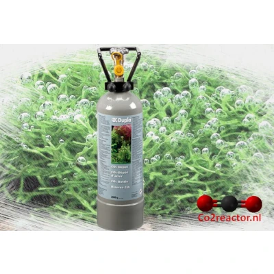 Afbeelding van Dupla Co2 Depot 2000 G