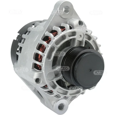 Afbeelding van Dynamo / Alternator HC CARGO 113904