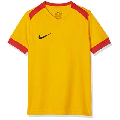 Afbeelding van Nike Y Nk Dry Prk Drby Ii Jsy Ss T shirt voor kinderen