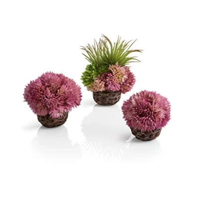 Afbeelding van OASE biOrb 73540 koraalbalset paars afzinkende kunstkoraal in bolvorm als plantendecoratie voor zout water aquarium en zoetwateraquarium