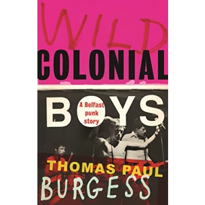 Afbeelding van Wild colonial boys: A Belfast punk story