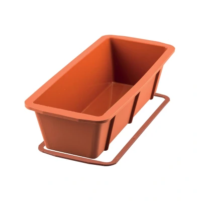 Afbeelding van Silikomart Siliconen Cakevorm 30x10x7cm + Ring